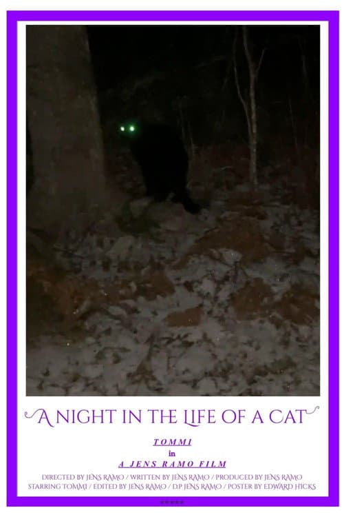 A Night in the Life of a Cat poster