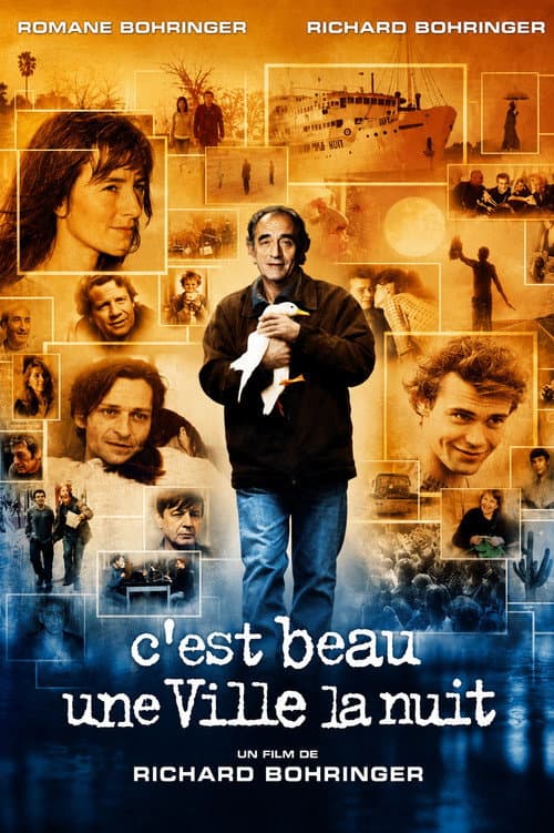 A City Is Beautiful at Night poster
