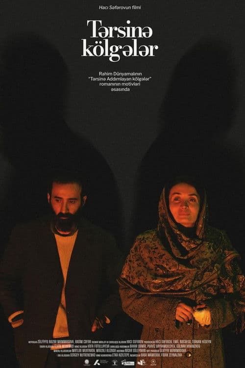 Shadows in Reverse poster