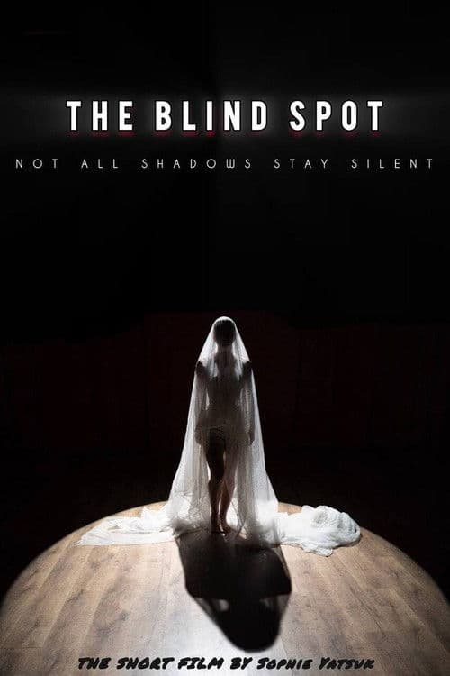 The Blind Spot poster