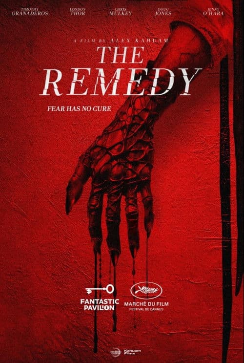 The Remedy poster