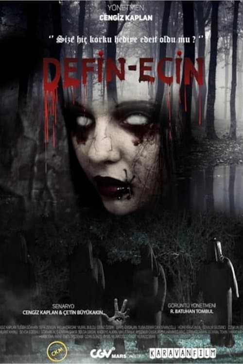 Defin-Ecin Zulman poster