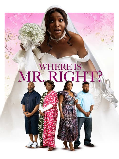 Where is Mr Right poster