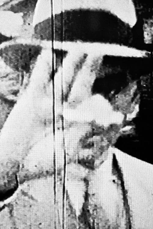 Monteiro Lobato poster