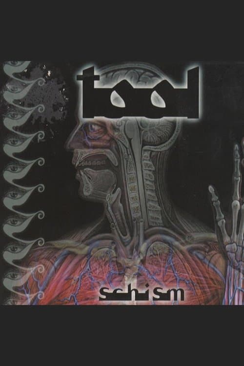 TOOL - Schism poster
