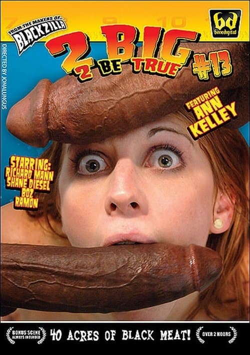 2 Big 2 Be True 13 poster