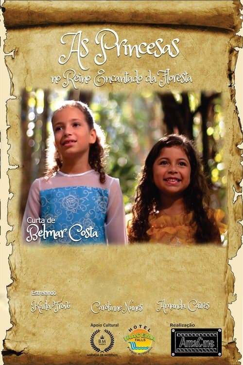 As Princesas no Reino Encantado da Floresta poster