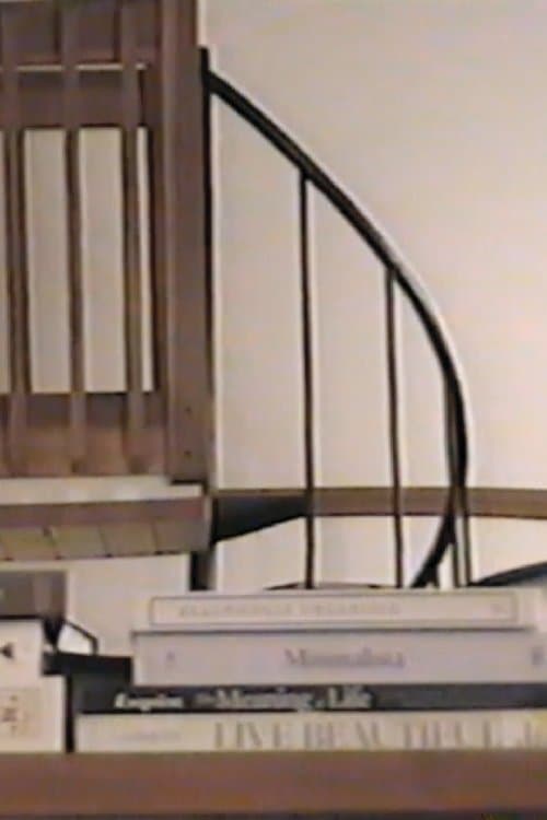 Space 11.16.25 poster