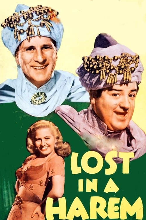 Lost in a Harem poster