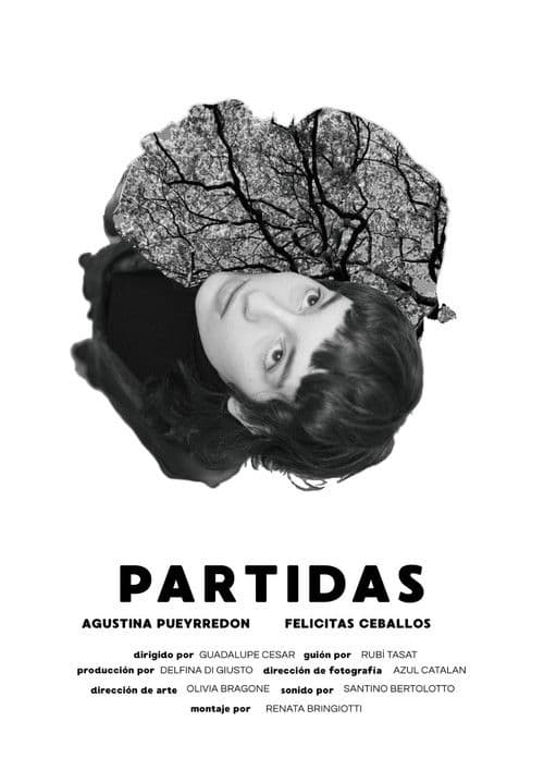 Partidas poster