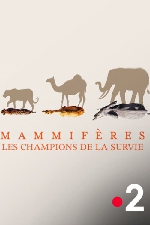 Mammifères, les champions de la survie poster