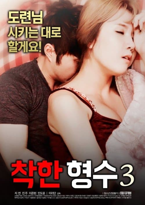 Nice Sister-In-Law 3 poster