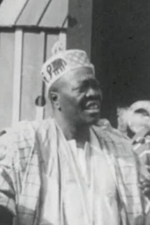 African Visitors to the Tower of London poster