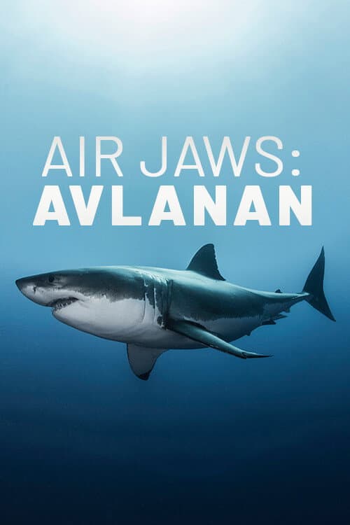 Air Jaws: The Hunted poster