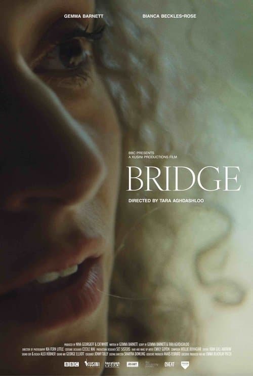 Bridge poster