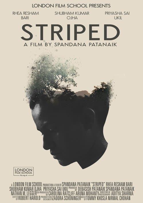 Striped poster