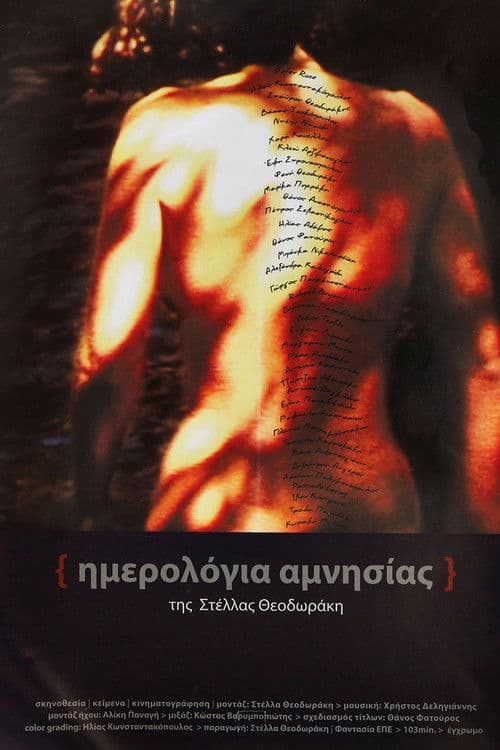 Amnesia Diaries poster