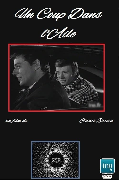 Un coup dans l'aile poster