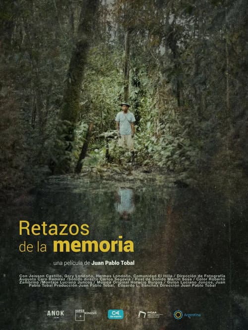 Remnants of memory poster