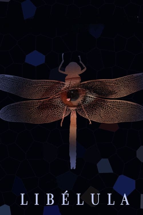 Libélula poster