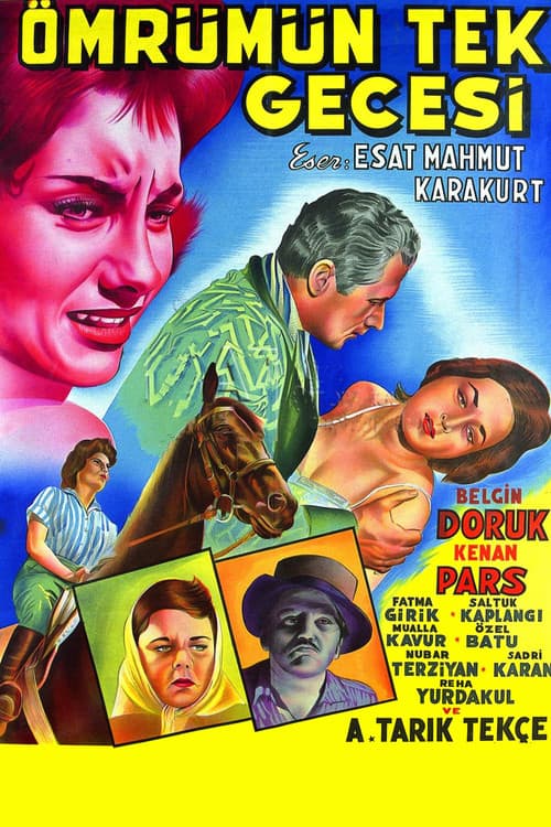 Ömrümün Tek Gecesi poster
