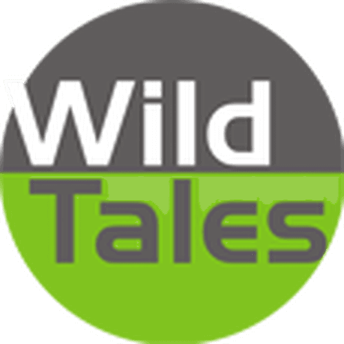 Wild Tales Productions