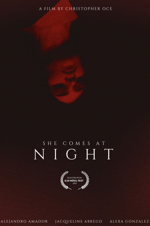 SHE COMES AT NIGHT poster