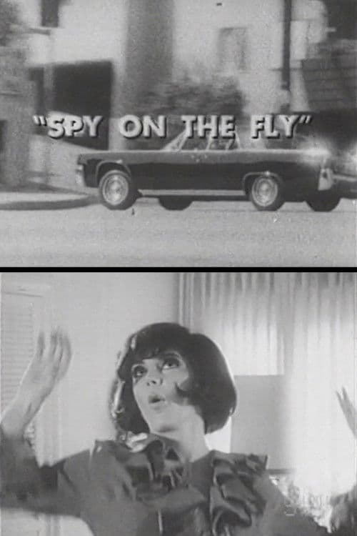 Spy on the Fly poster