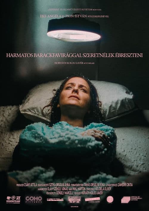 waking you with dewy peach blossoms poster