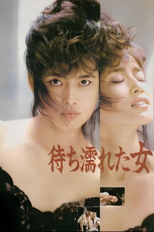 The Woman Soaked from Waiting poster