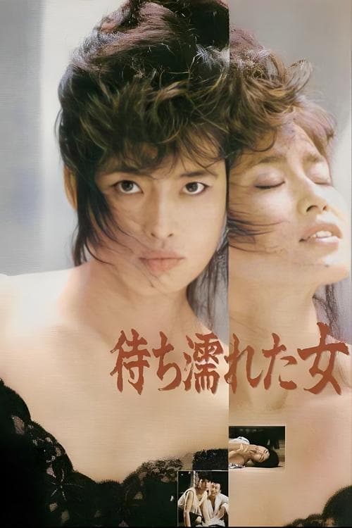 The Woman Soaked from Waiting poster