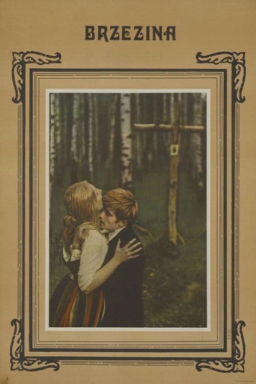 The Birch Wood poster
