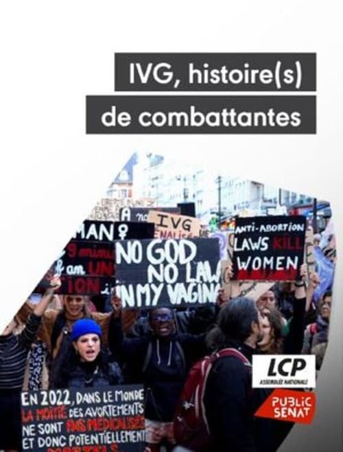 IVG : Histoire(s) de combattantes poster