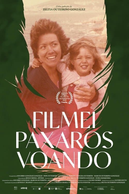 Filmei paxaros voando