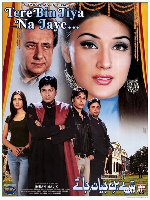 Tere Bin Jiya Na Jaye poster
