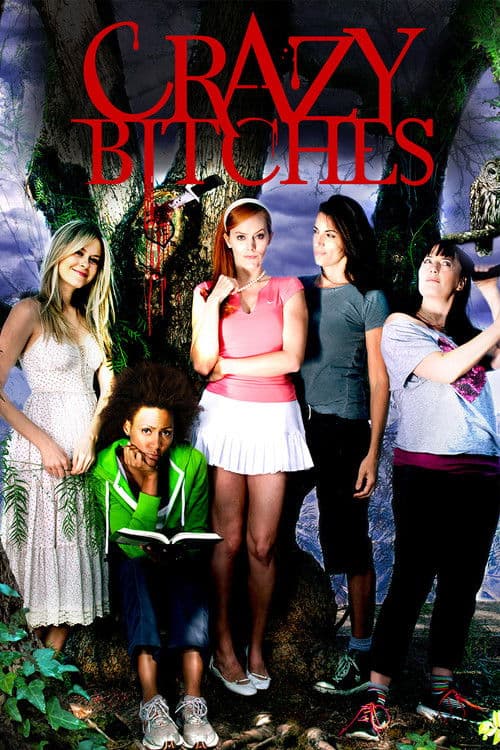 Crazy Bitches poster