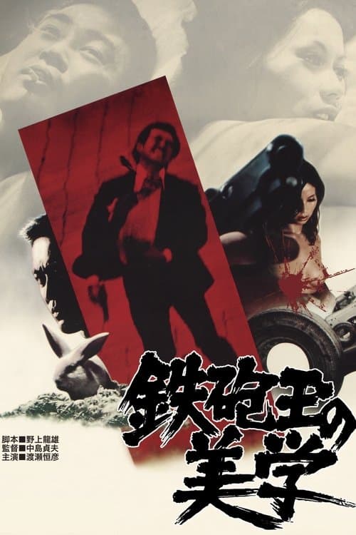 Aesthetics of a Bullet poster