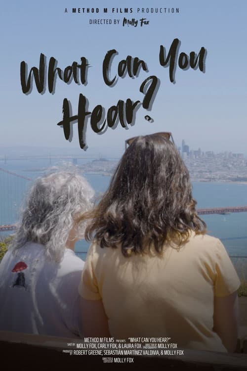 What Can You Hear? poster