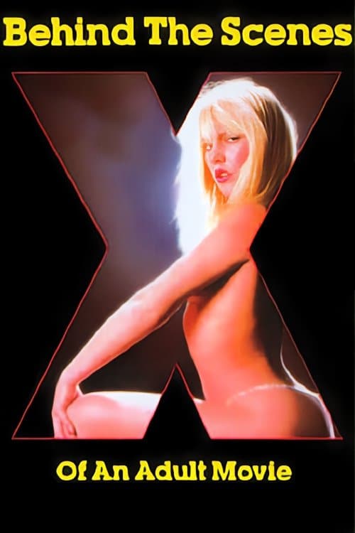 Behind the Scenes of an Adult Movie poster