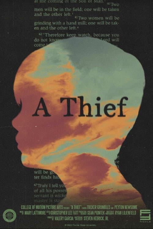 A Thief poster