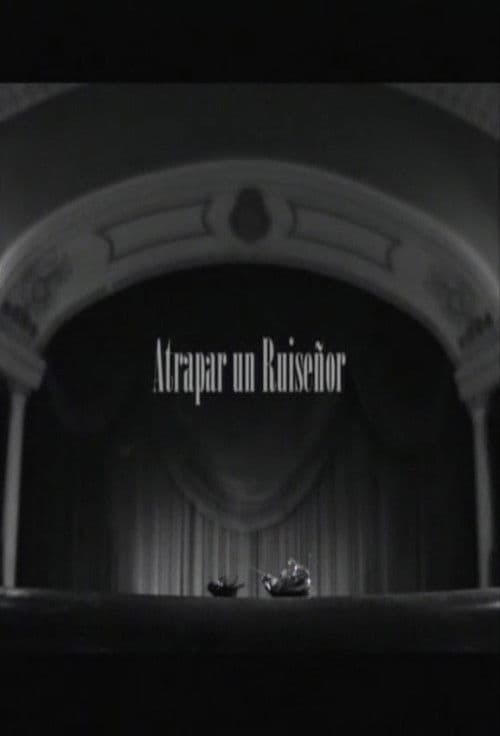 Atrapar un ruiseñor poster