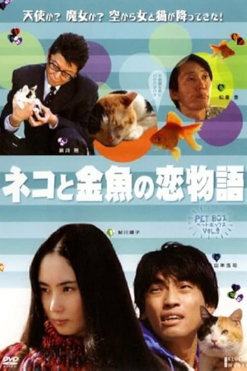 Cat and Goldfish Love Story poster