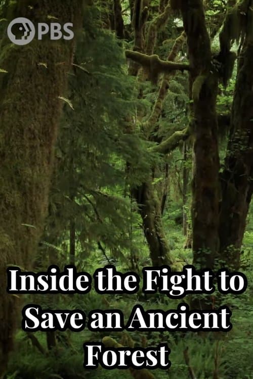 Inside the Fight to Save an Ancient Forest (and the Secrets it Holds) poster