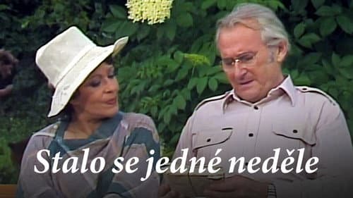 Stalo se jedné neděle poster