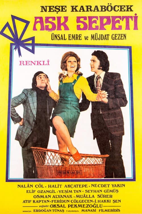 Aşk Sepeti poster