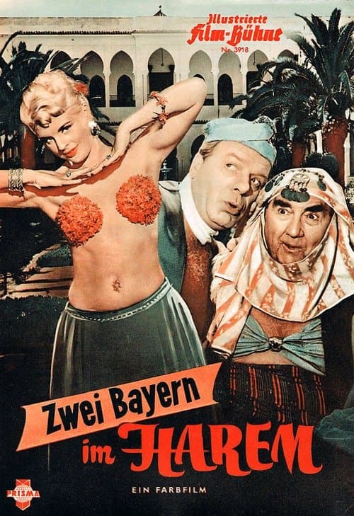 Zwei Bayern im Harem poster