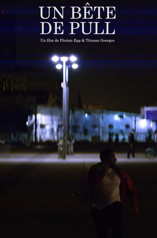 Un Bête de Pull poster