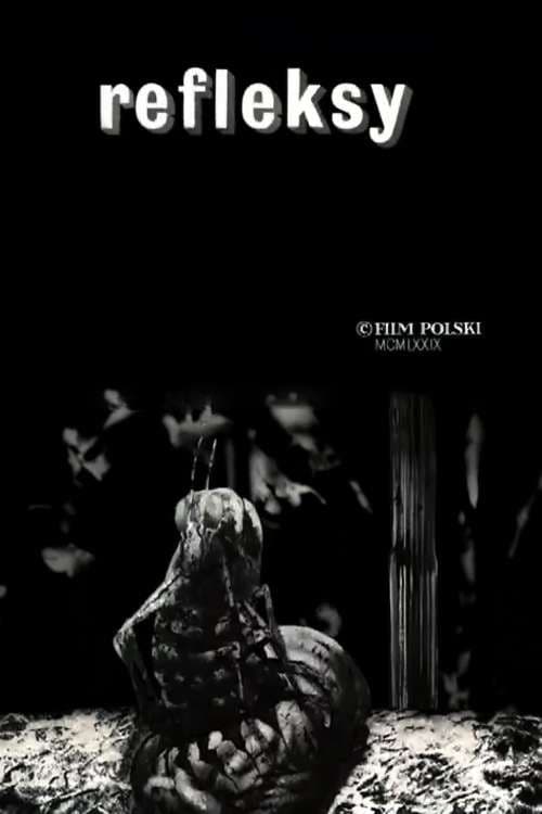 Reflections poster