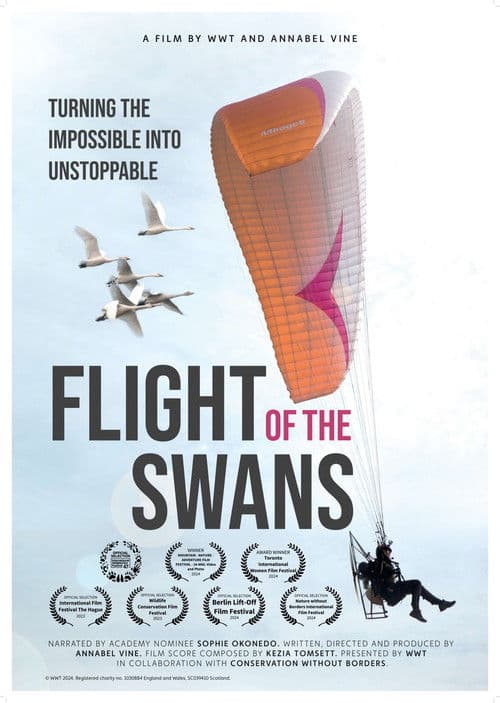Flight of the Swans poster