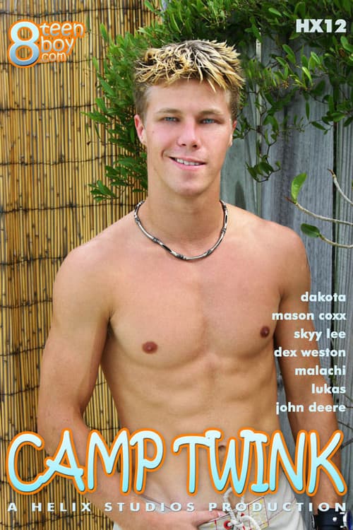Camp Twink poster